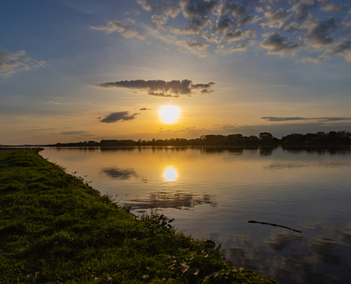 Blick auf den Rhein im Sonnenuntergang